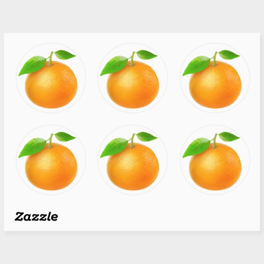 Tangerine Ronde Sticker (Vel)