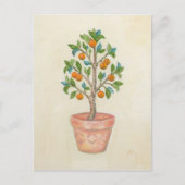 Tangerine Tree briefkaart (Voorkant)