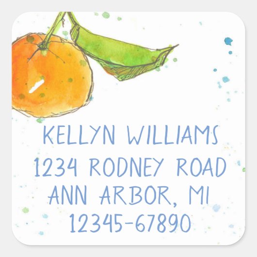 Tangerine Waterverf Fruit retouradres Vierkante Sticker (Voorkant)