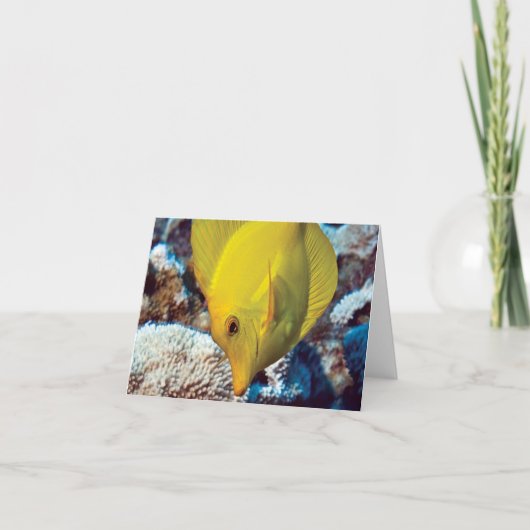 TangEssence Note Card Kaart (Voorkant)