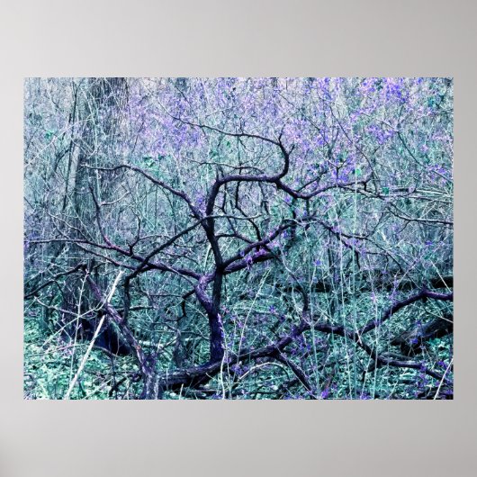 Tangle In Blue Poster (Voorkant)