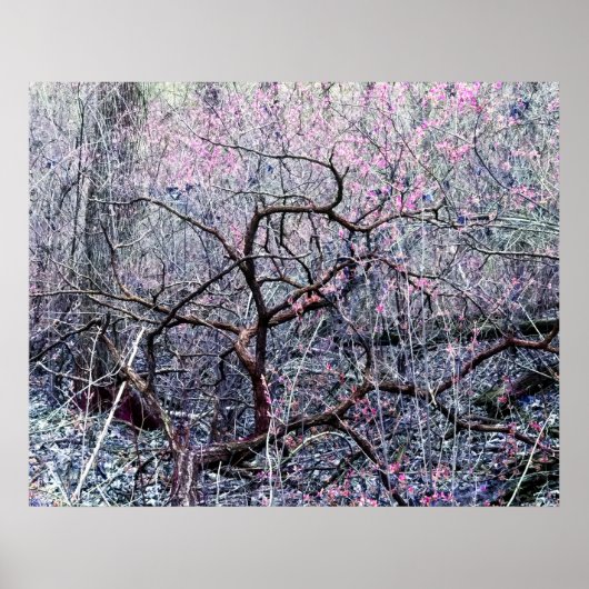 Tangle poster (Voorkant)