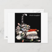 Tangled Cat Briefkaart (Voorkant / Achterkant)