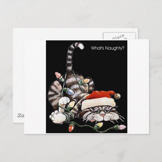 Tangled Cat Briefkaart (Voorkant / Achterkant)