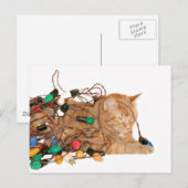 Tangled Christmas kat Feestdagenkaart (Voorkant / Achterkant)