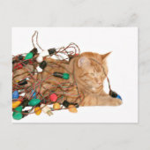 Tangled Christmas kat Feestdagenkaart (Voorkant)