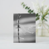 Tangled-draden - foto van barbaarse draad voor sti briefkaart (Staand voorkant)