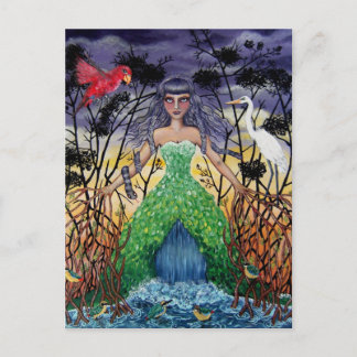 Tangled in de Mangroves Briefkaart