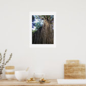 Tangled Tree Australia Kleurenfotografie Poster (Keuken)