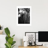 Tangled Tree Australia Zwart-wit fotografie Poster (Thuiskantoor)