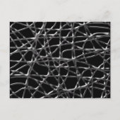 Tangled Web Briefkaart (Voorkant)