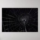 Tangled Web Poster (Voorkant)