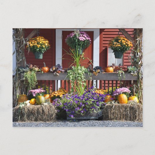 Tanglewood Herfst Beauty - Briefkaart (Voorkant)