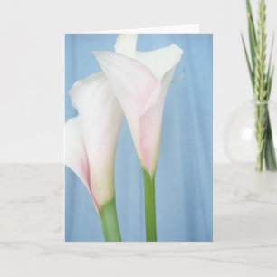Tango White Calla Lily Foto Art Wenskaart Kaart