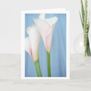 Tango White Calla Lily Photo Art Wenskaart Kaart