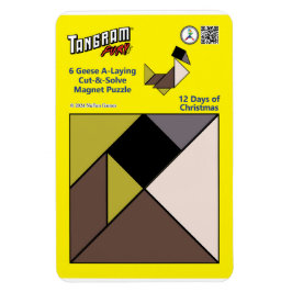 Tangram magneet puzzel - 6 ganzen A-leggen