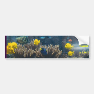 TANGS VEEL! BUMPERSTICKER