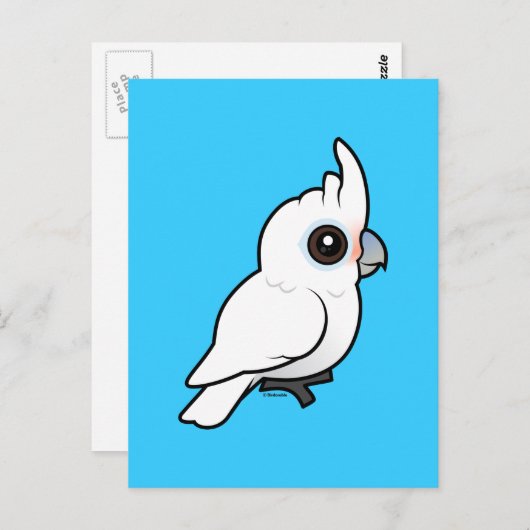 Tanimbar Corella Briefkaart (Voorkant / Achterkant)