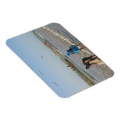 Tanji, Gambia Magneet (Rechterzijde)