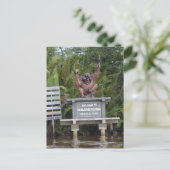 Tanjung Putting National Park, eiland Borneo Briefkaart (Staand voorkant)
