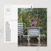 Tanjung Putting National Park, eiland Borneo Briefkaart (Voorkant / Achterkant)