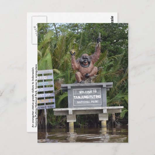 Tanjung Putting National Park, eiland Borneo Briefkaart (Voorkant / Achterkant)