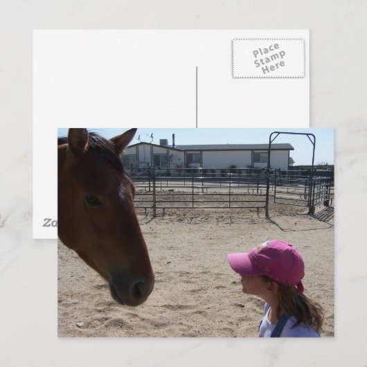 Tank & Baylie Briefkaart (Voorkant / Achterkant)