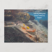 Tank & Marine Marvel: Het verhaal van Saipan Briefkaart (Voorkant)