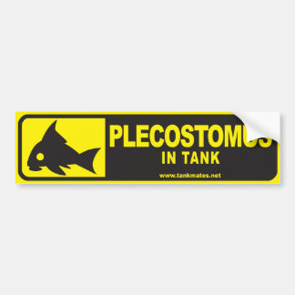 Tank Mates bumper sticker serie 1 — Plecostomus