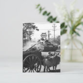 Tank van 1st Bn., 69e Armor, 25e Inf. Div., mov. Briefkaart (Staand voorkant)