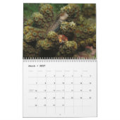 Tanks-A-Lot Scuba duikt 2012 Kalender (Mar 2027)