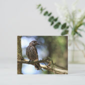 Tannenhäher Briefkaart (Staand voorkant)