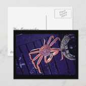 Tanner Crab Briefkaart (Voorkant / Achterkant)