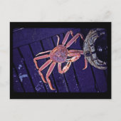 Tanner Crab Briefkaart (Voorkant)