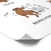 TANO Signals Poster (Hoek)