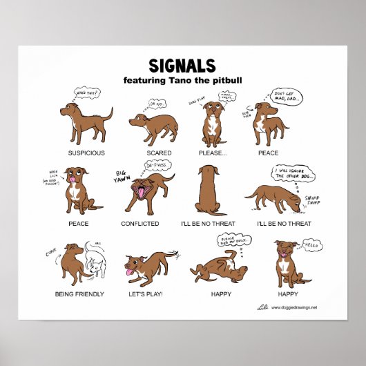 TANO Signals Poster (Voorkant)