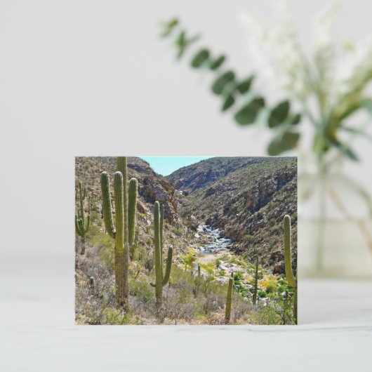 Tanque Verde Canyon Briefkaart (Staand voorkant)