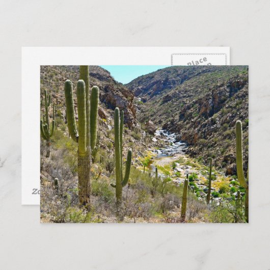Tanque Verde Canyon Briefkaart (Voorkant / Achterkant)