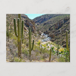 Tanque Verde Canyon Briefkaart