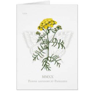 Tansy en Swallowtail kaart