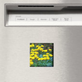 Tansy Flowers Magneet (Insitu (Vaatwasser))