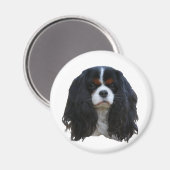 Tansy Magneet (Voorkant / Achterkant)