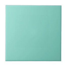 Tantalizing Turquoise Blauwgroen Square Kitchen en Tegeltje