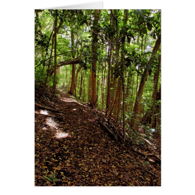 Tantalus Hiking Trail (Voorkant)