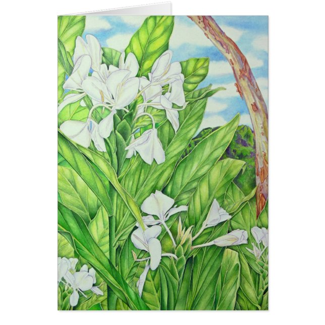 Tantalus White Ginger (Voorkant)