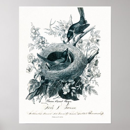 Tante Abby's vogelketch Poster (Voorkant)