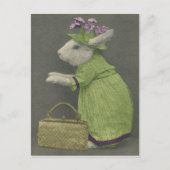 Tante Bunny Briefkaart (Voorkant)