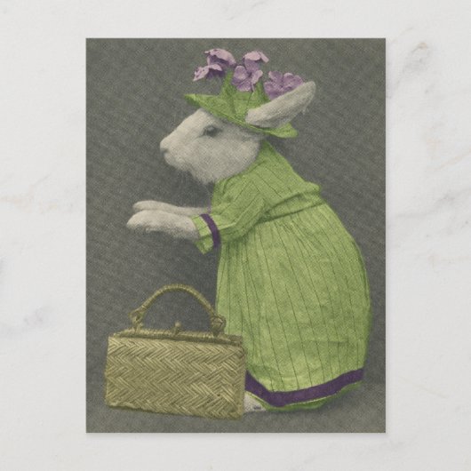 Tante Bunny Briefkaart (Voorkant)