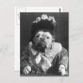 tante Maude Dog Briefkaart (Voorkant / Achterkant)