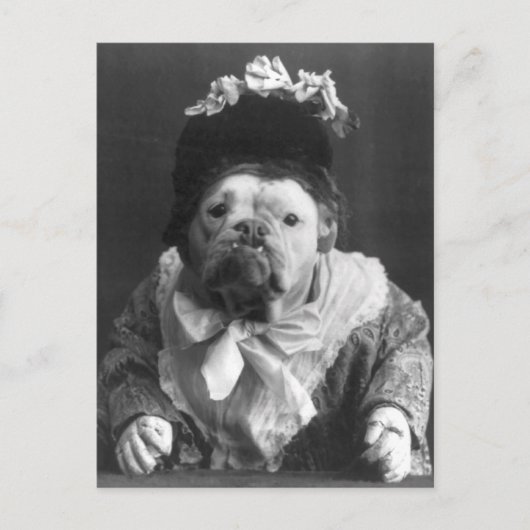 tante Maude Dog Briefkaart (Voorkant)